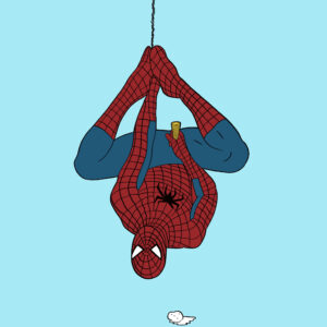 SPIDER PROBLEMS